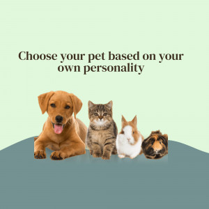 Collage of a puppy, kitten, rabbit, and guinea pig with text 'Choose your pet based on your own personality'