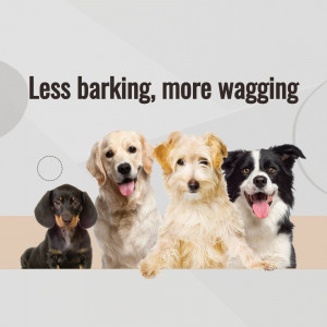 Four happy dogs of different breeds looking at the camera with a text overlay 'Less barking, more wagging'.