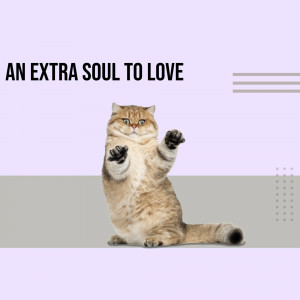 A cute cat with paws raised in a playful pose.