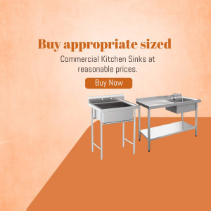 Two stainless steel commercial kitchen sinks with a 'Buy Now' button.