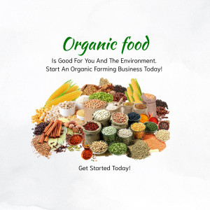 Assortment of organic foods including grains, seeds, and spices.
