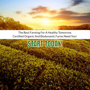 A vibrant field of green crops under a sunset sky with text promoting organic farming.