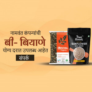 Image of True Elements Sunflower Seeds packaging with promotional text in Marathi.