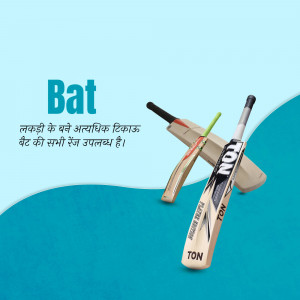Two Ton cricket bats displayed on a blue background with text.