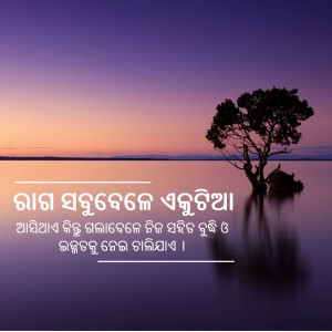 A lone tree silhouetted against a vibrant sunset over calm water.