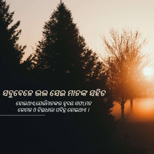 Silhouette of trees against a vibrant sunset with text overlay