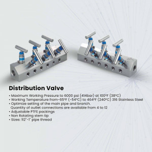 Stainless steel distribution valve manifold with multiple outlets
