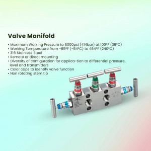 Stainless steel valve manifold with color-coded caps