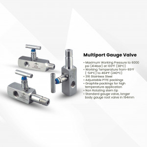 Close-up of stainless steel multiport gauge valves with technical specifications.