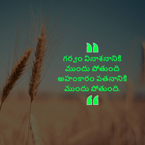 Image of wheat stalks with a Telugu quote overlaid on a blurred background.