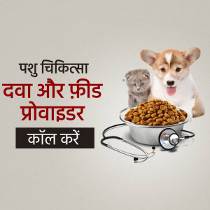 Image of a dog, cat, and pet food with medical tools, advertising veterinary services and pet supplies.