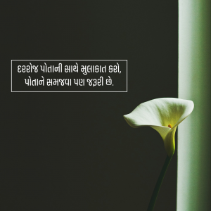 Close-up of a white calla lily with Gujarati text