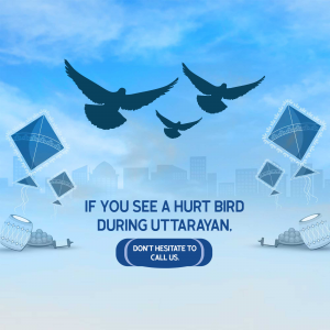 Image depicting birds flying with kites, promoting help for injured birds during Uttarayan.