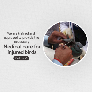 Veterinarian providing medical care to an injured bird.