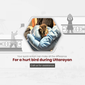 A person holding an injured bird during Uttarayan festival.