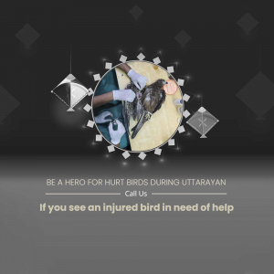 A veterinarian treating an injured bird, surrounded by kite imagery.