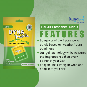 Dyna Fresh Citrus Car Air Freshener product image