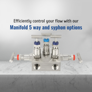 Stainless steel 5-way manifold with syphon options for flow control