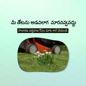 Lawn mower cutting grass with daisies in the foreground