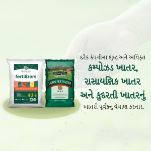Two bags of lawn fertilizer on a light green background with text in Gujarati.