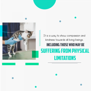 A veterinarian examining a cat, with text about compassion for all beings.