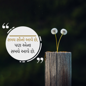Two dandelion seed heads growing from a wooden post with a quote in Gujarati