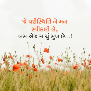 Image with Gujarati text over a field of red poppies and wheat.