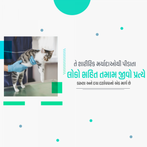 A veterinarian examining a cat during a checkup.