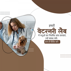 Veterinarian examining a small dog in a lab setting