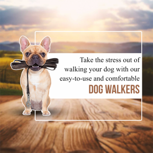 French Bulldog with a leash promoting dog walking services