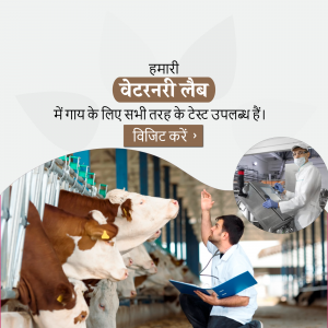 Veterinary lab offering comprehensive testing for cattle health.