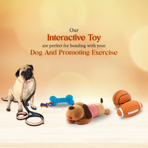 Dog with interactive toys including rope, bone, and plush toys