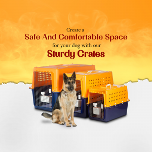 Image of a German Shepherd dog sitting in front of sturdy dog crates in blue and orange.