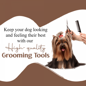 A Yorkshire Terrier getting groomed with professional tools.