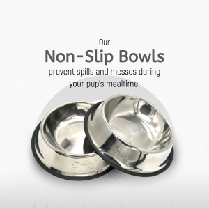 Two stainless steel dog bowls with non-slip bases