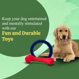 Golden Retriever with dog toys