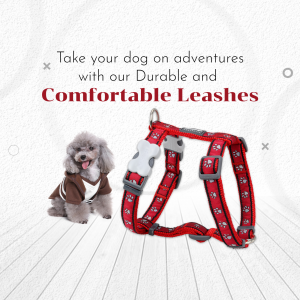 Red dog harness and leash with a poodle wearing a coat