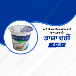 Close-up of Heritage Greek Yogurt container with promotional text in Punjabi.