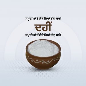 A bowl of creamy white yogurt (dahi) on a light blue background with text in Punjabi.