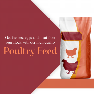 Package of poultry feed with chicken illustration