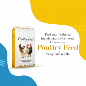 Bag of Poultry Feed with chickens and text promoting optimal results.