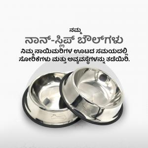 Two stainless steel pet bowls with black rubber bases