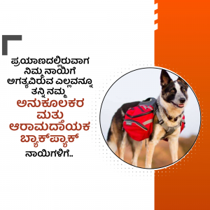 A dog wearing a red backpack, with text in Kannada on the left side.