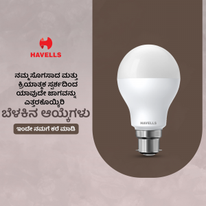 Havells LED bulb with Kannada text on a brown background