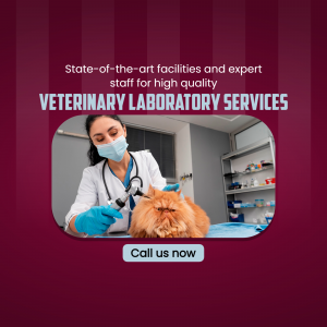 Veterinarian examining a cat in a laboratory setting