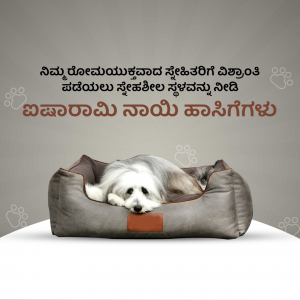 A fluffy white dog sleeping peacefully in a comfortable grey pet bed.