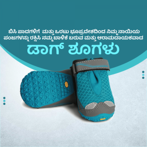 Pair of blue dog shoes with grey soles