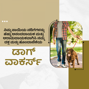 A man walking a brown dog on a leash with Kannada text overlay.