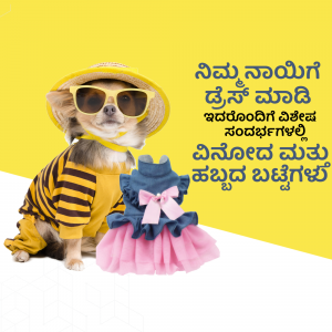 A small dog wearing sunglasses and a striped outfit with a pink and blue dress.