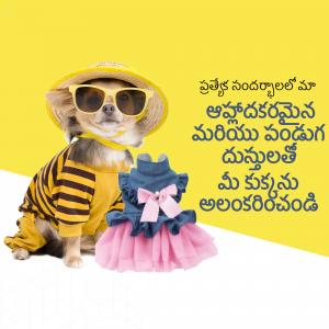 A cute chihuahua wearing sunglasses and a striped shirt with a pink tutu and hat, with Telugu text overlay.